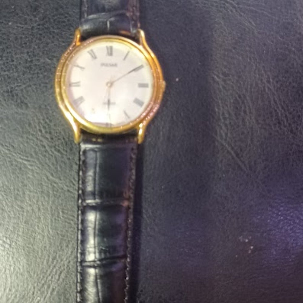 PULSAR WATCH MODEL 168988